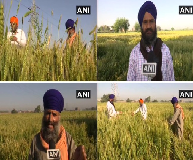 अमृतसर में किसानों को लॉकडाउन के चलते हो रही परेशानी