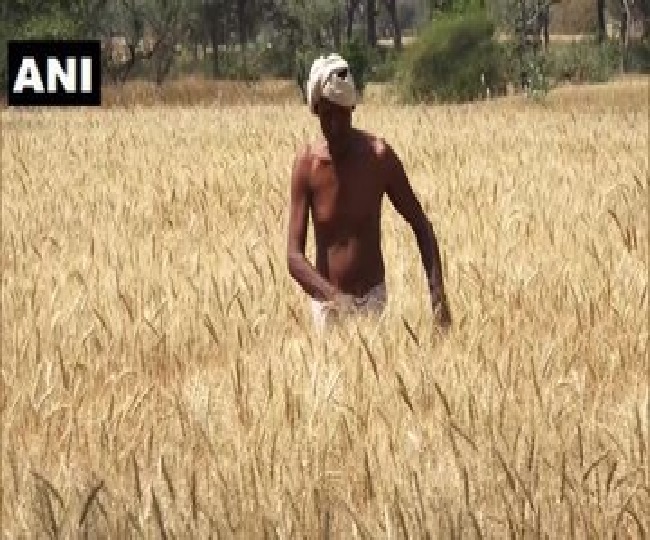 मध्य प्रदेश में किसानों का हुआ नुकसान