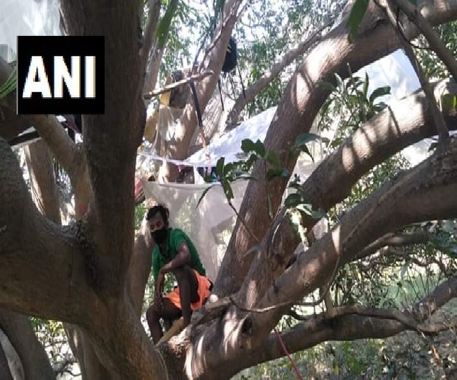 पश्चिम बंगाल में इस शख्स ने पेड़ पर बनाया अपना घर