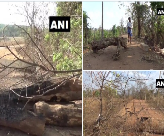 कर्नाटक में बाहरी लोगों के प्रवेश के लिए लगाए गए लकड़ी के लॉग