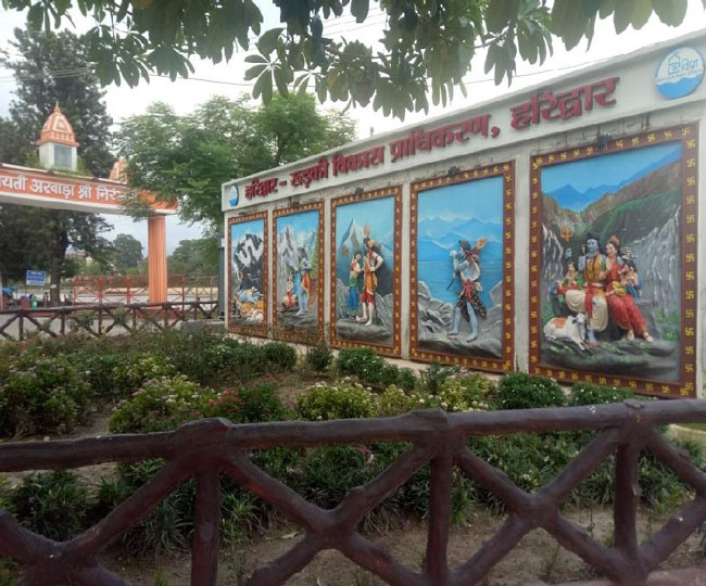 कुंभ मेला क्षेत्र में लगाए जा रहे सुगंधित फूलों के पौधे। जागरण