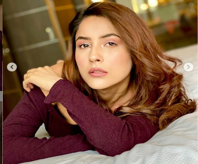 शहनाज़ कौर गिल का फोटोशूट