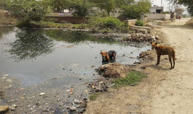 सभापुर गांव में कैंसर फैला रहीं जींस रंगाई की फैक्ट्रियां