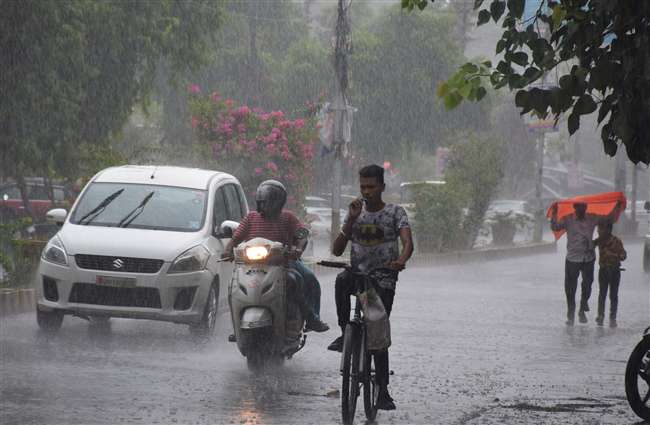 धान की रोपाई के लिए मुफीद हैं आसमान से झरती फुहारें Bareilly News