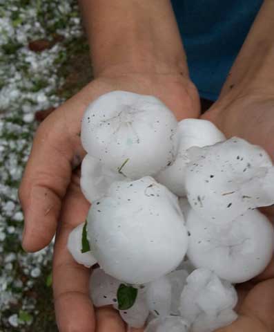 PICS: देहरादून में जोरदार बारिश, ओले भी गिरे