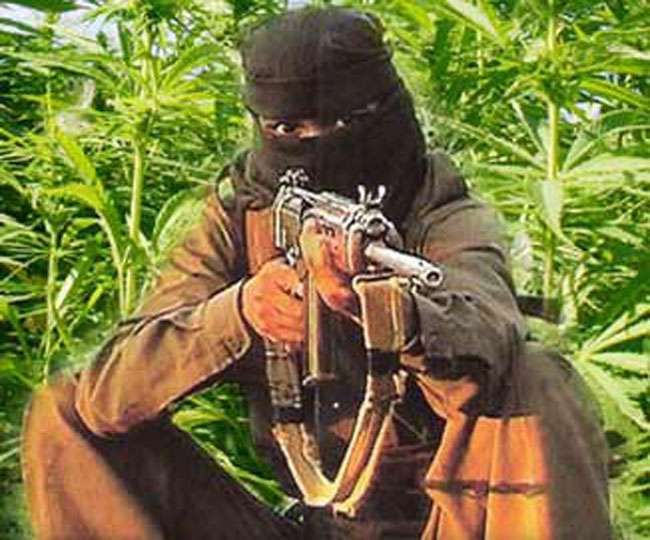 माओवादी बंदूक नहीं, बैलेट से करें मुकाबला: वेंकैया नायडू