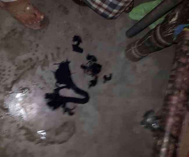 सामने आएगा चोटी कटने का सच, पुलिस उठाएगी ऐसा कदम
