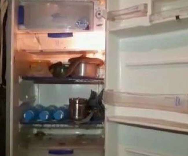ठंडे पानी के लिए फ्रिज खोला तो किंग कोबरा देखकर निकली लड़की की चीख
