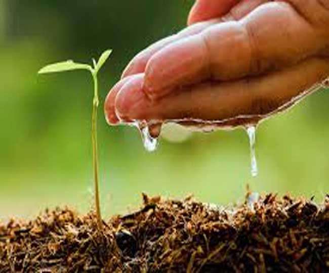 बदली जा रही कृषि वैज्ञानिकों की चयन प्रक्रिया,चयन प्रक्रिया में होगा भारी परिवर्तन