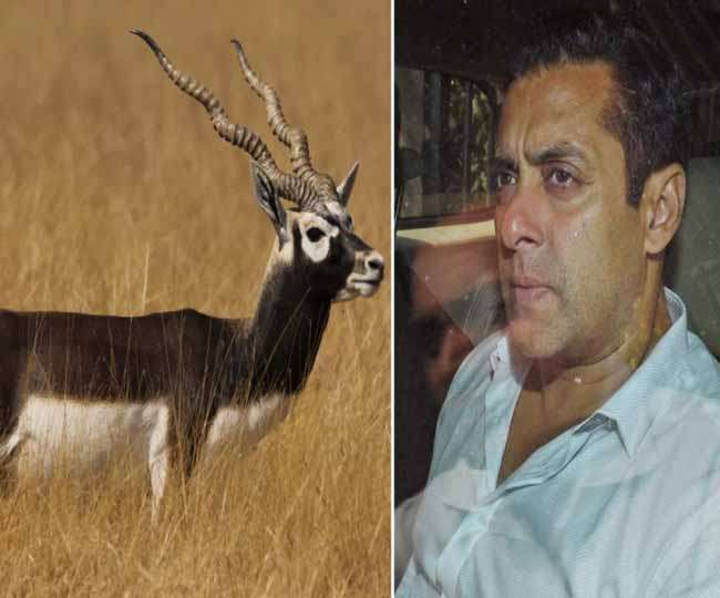 सलमान से जुड़े हिरण शिकार मामले पर अब 30 मई को होगी सुनवाई