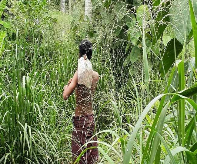 80 फीसद अंक फिर भी नहीं मिला एडमिशन, थामा फावड़ा बन गया किसान