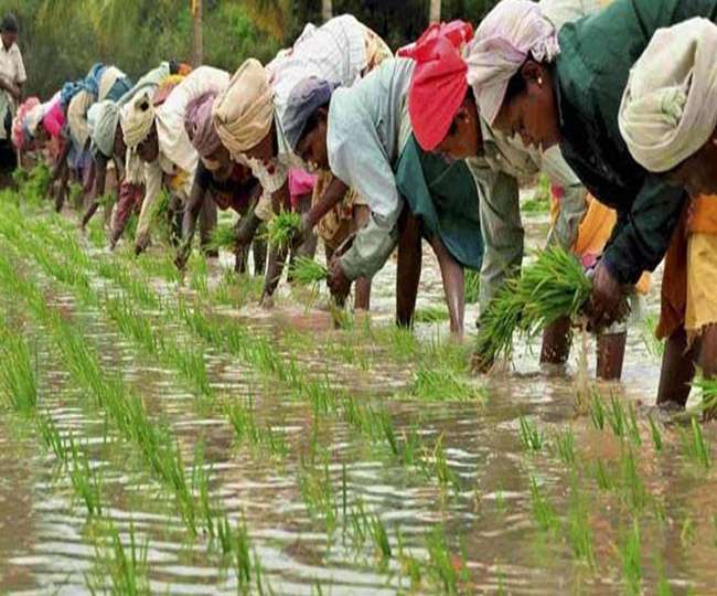 किसानों की कर्जमाफी ने रोकी यूपी के विकास कार्यों की रफ्तार