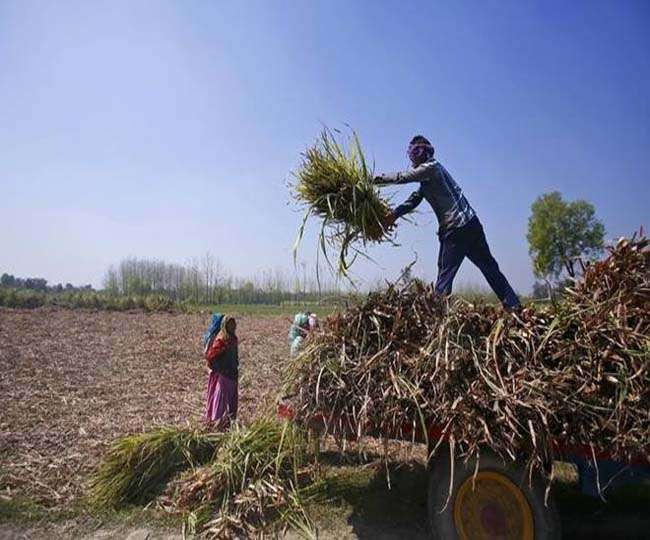 भाजपा का वादे पर अमल, कृषि ऋण माफी पर केंद्र ने शुरू की चर्चा