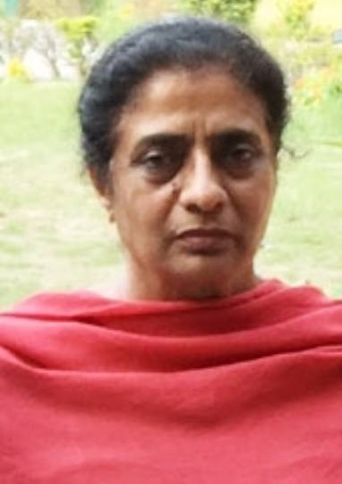 स्कूलों को स्मार्ट बनाने की कवायद तेज, जगराओं के सीसे स्कूल का हुआ सर्वे