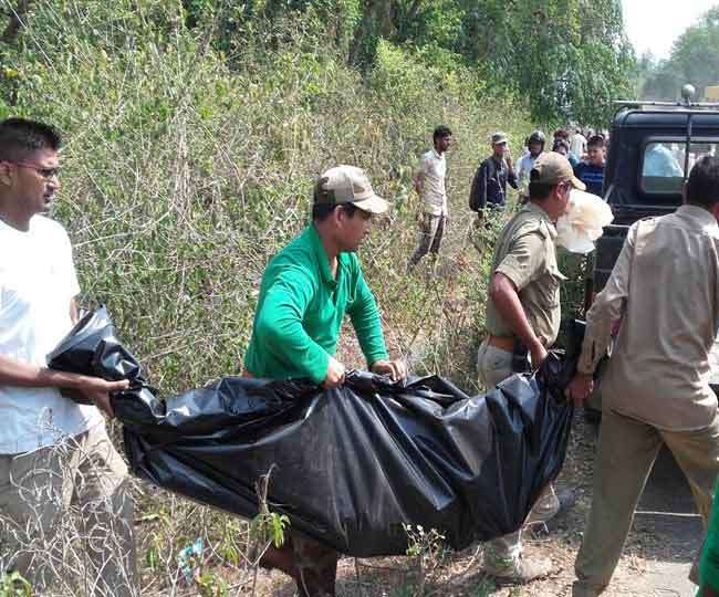 रायवाला में तेंदुए ने वन दरोगा को बनाया निवाला, दहशत