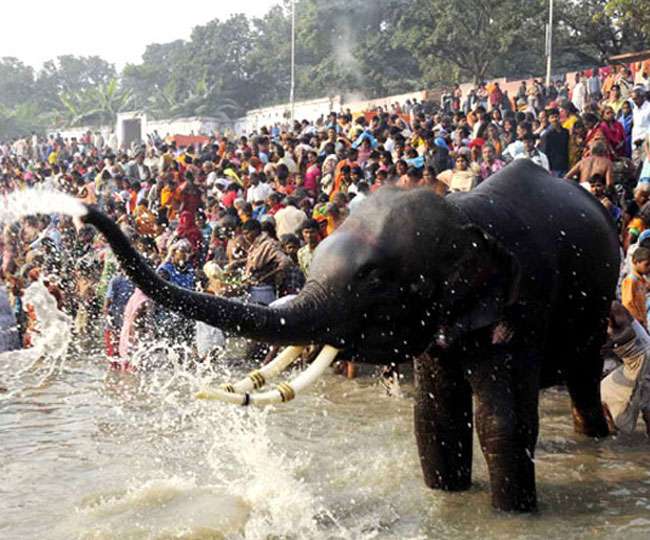 सोनपुर मेले में फाइव स्टार होटल जैसी सुविधाएं वाली स्विस कॉटेज, यूं करे बुक