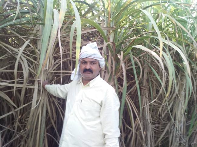 जैविक खेती अपनाकर बढ़ाई दोगुनी आय