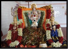 जयकारे के बीच निकली बालाजी की शोभा यात्रा