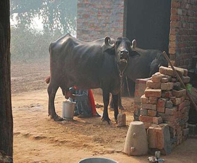 गांवों को मलेरियामुक्त बनाने के लिए डॉक्टर लेंगे गांवों को गोद
