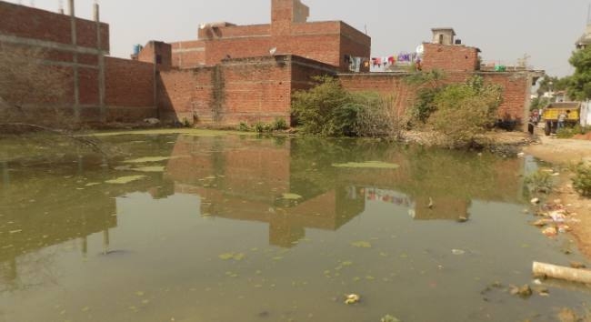 कॉलोनियों में डेंगू, कागजों में कार्रवाई