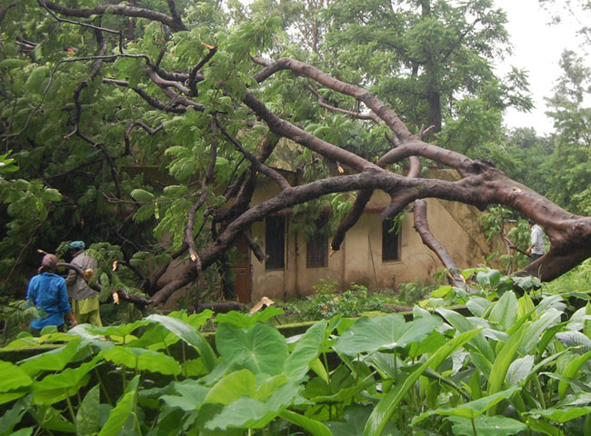 कहर बनकर आई बारिश में बह गई कार, देखिए तस्वीरें