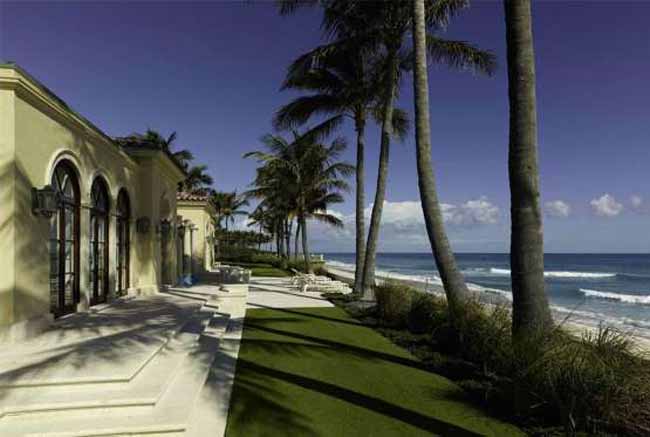 IL PALMETTO :
