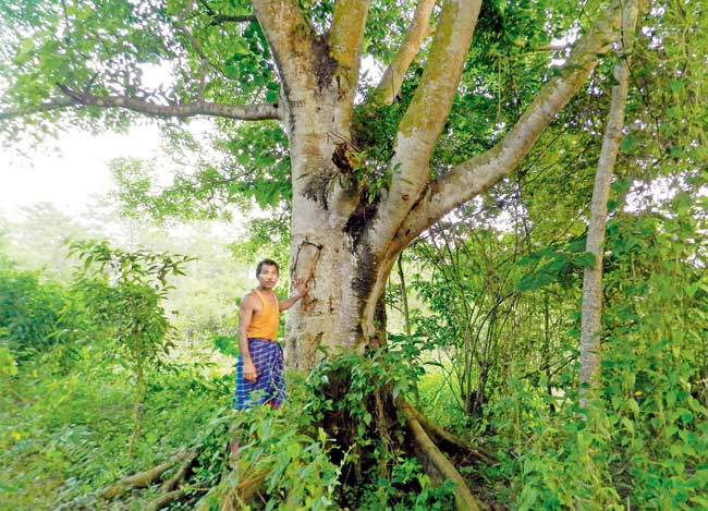 पद्मश्री ने नवाजा जा चुका है यह फोरेस्टमैन, किया ऐसा काम कि हो गया नाम...