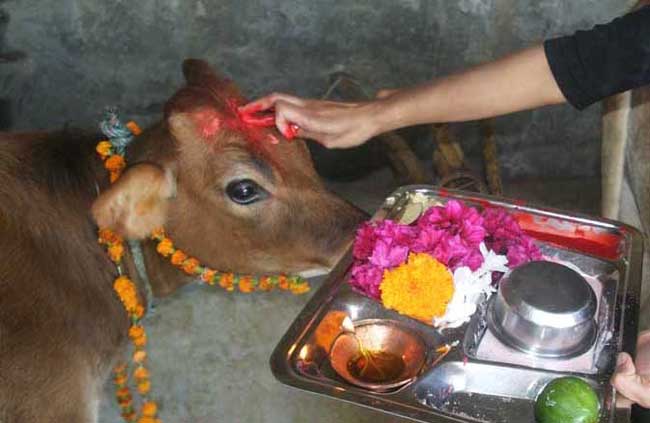धनतेरस के दिन लक्ष्मी को करना चाहते हैं प्रसन्न तो जरुर अपनायें ये अचूक उपाय