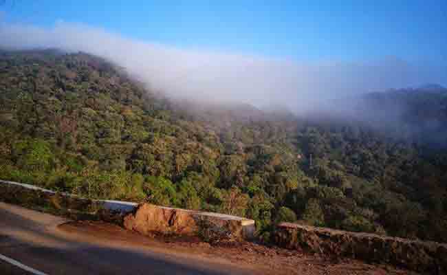 लांबासिंगी