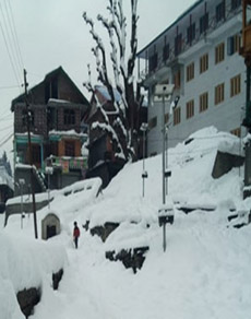 ताजा बर्फबारी से और भी आकर्षक हुईं हिमाचल प्रदेश और उत्तराखंड की वादियां