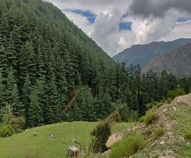 देवलसारी बनेगी उत्तराखंड की पहली बायोडायवर्सिटी हैरिटेज साइट