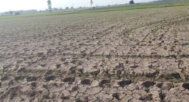 बरसात नहीं होने से धान की रोपाई पर असर, किसान का खर्च बढ़ा