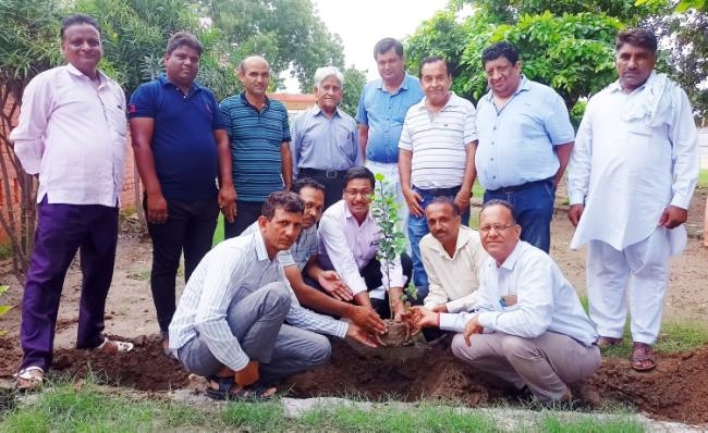 जयराम अस्पताल में पर्यावरण संरक्षण के लिए किया पौधारोपण