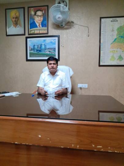 पर्यावरण संरक्षण: पांच जुलाई से पौधारोपण शुरू करेगा वन विभाग, 4.35 लाख पौधे लगाने का रखा लक्ष्य