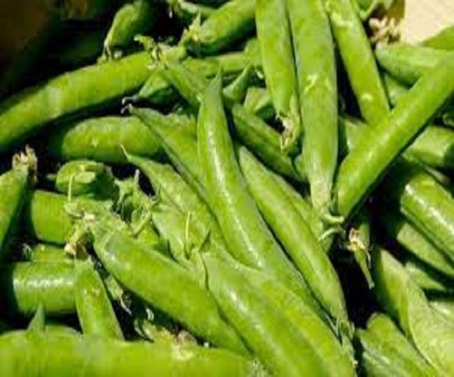 60 से 70 रुपये किलो तक बिकने वाला मटर 45 से 50 रुपये किलो हुआ, जानें अन्य सब्जियों के दाम