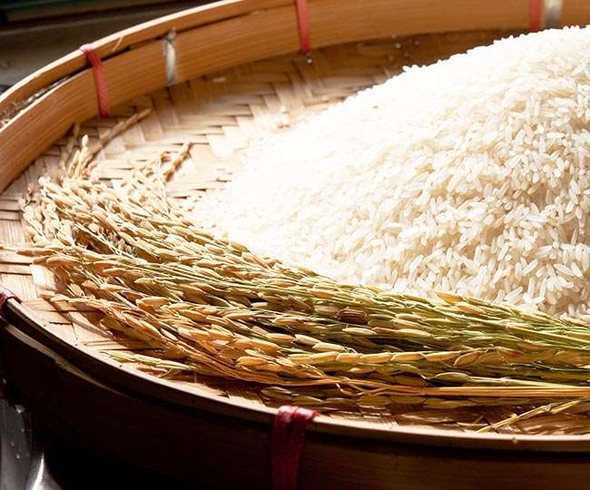 धान की मुख्यतः तीन उप-प्रजातियां है इंडिका, जैपोनिका और जावनिका।