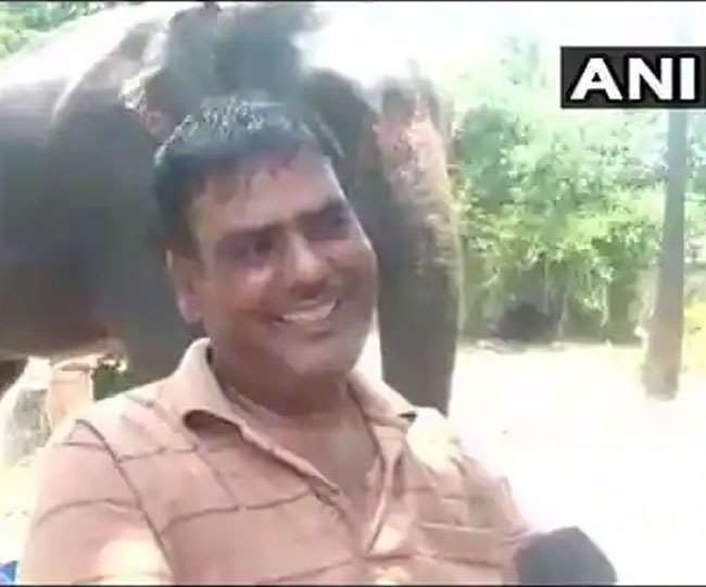 हाथी के नाम कर दी थी पांच करोड़ की संपत्ति, पटना के शख्स को जान देकर चुकानी पड़ी कीमत