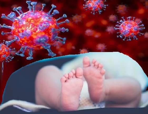 Coronavirus Kanpur: कोरोना संक्रमित दो गर्भवतियों का प्रसव, एक ने बेटा तो दूसरे ने बेटी को दिया जन्म