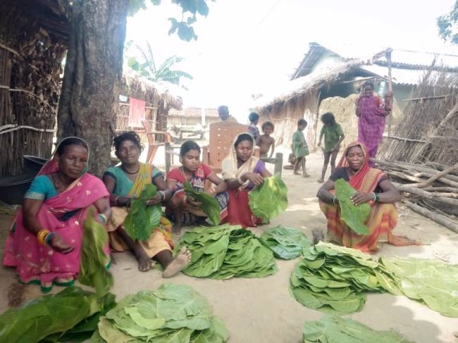 प्लास्टिक पर प्रतिबंध से जोर पकड़ेगा पत्तल बनाने का रोजगार