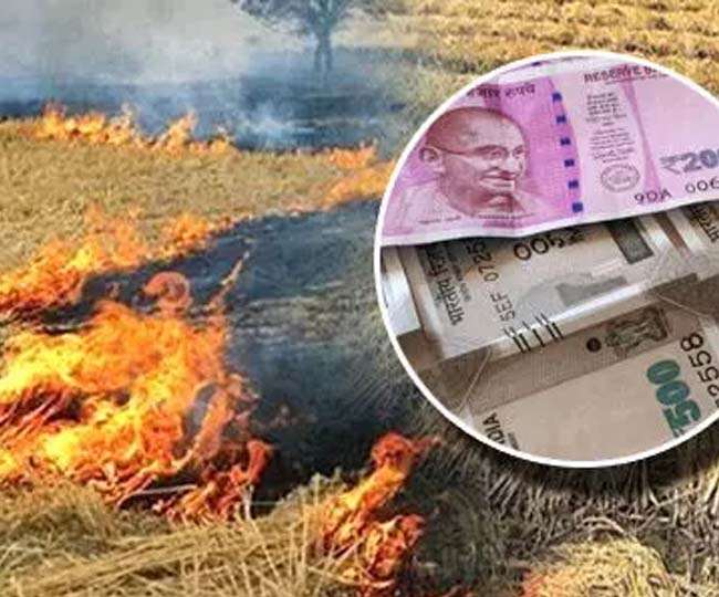BAU : पराली से बढ़ेगी किसानों की आमदनी, बायोचार बनाने के लिए किसानों को मिलेगा प्रशिक्षण