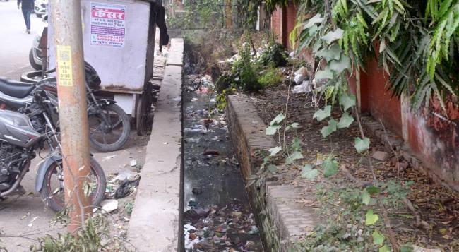 सड़कें खस्ताहाल और सफाई व्यवस्था बदहाल, मच्छरों से जीना मुहाल