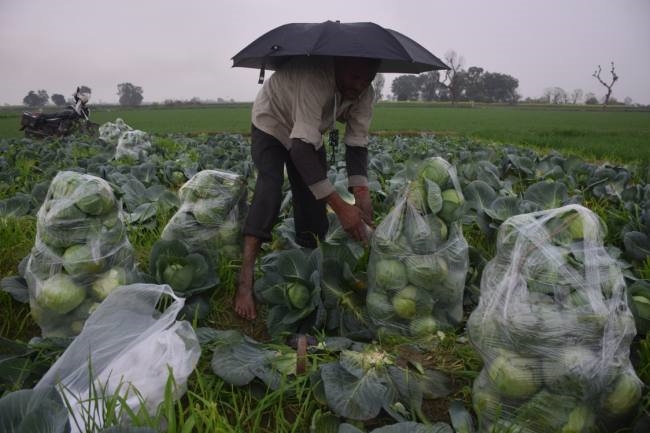 रात तक होती रही बारिश, शहर में ब्लैकआउट