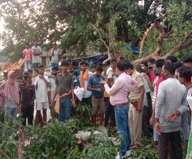 सरायकेला में दर्दनाक हादसाः आम चुनने गए दो बच्चों पर गिरा पेड़, दबकर हुई मौत; एक व्यक्ति घायल