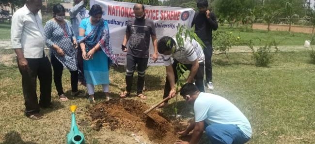 जींद की सीआरएसयू में पौधारोपण कर मनाया पर्यावरण दिवस