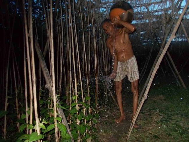 पान की खेती से पलायन कर रही युवा पीढ़ी