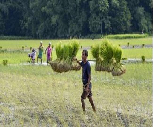 इन वर्करों के वैरिएबल महंगाई भत्ते में 4 अंक की बंपर बढ़ोतरी, जानिए बड़े शहर वालों को होगा कितना फायदा