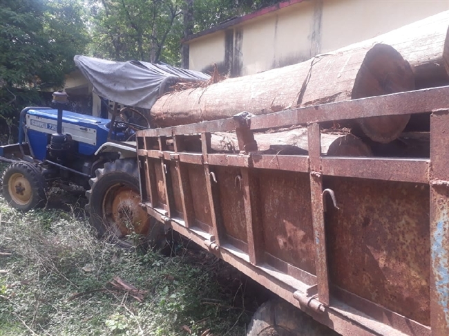 वन विभाग ने साल के बोटे किए जब्त