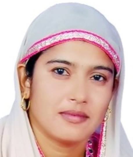 घोषणाओं के पिटारे में बंद नगीना का विकास