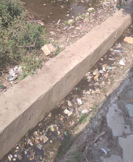 जलस्त्रोत बना डंपिग जोन, तालाब में गंदगी