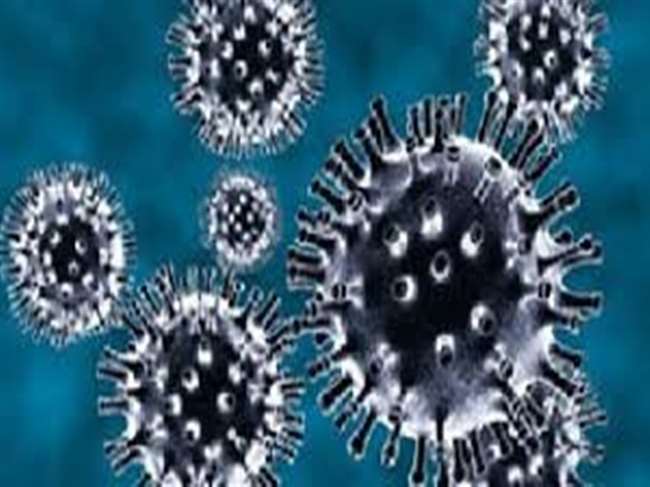 Saraikela Coronavirus Cases Update: सरायकेला में मिले 84 कोरोना पॉजिटिव, संक्रमितों का आंकड़ा पहुंचा 6014, जानें ताजा हाल